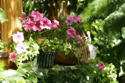 Bed & Breakfast F�nagy �s Walter Vend�g- �s Borh�z