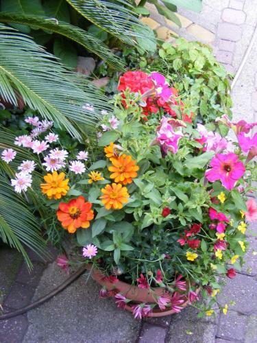 Bed & Breakfast F�nagy �s Walter Vend�g- �s Borh�z