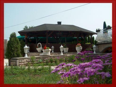 Hostal Royal Villa