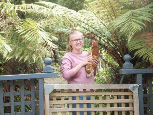 Bed & Breakfast Little Paradise & Petting Farm