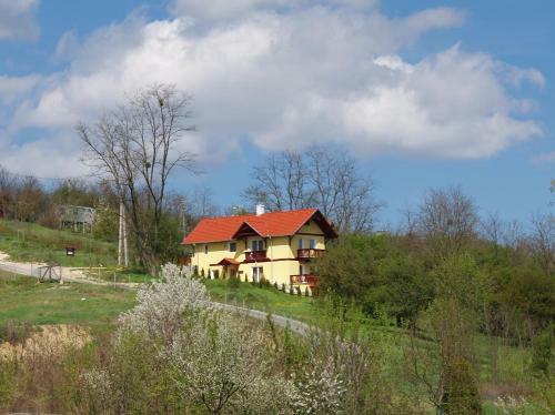 Apartamento Di�fa Vend�gh�z