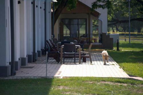 Bed & Breakfast Vadkert Major