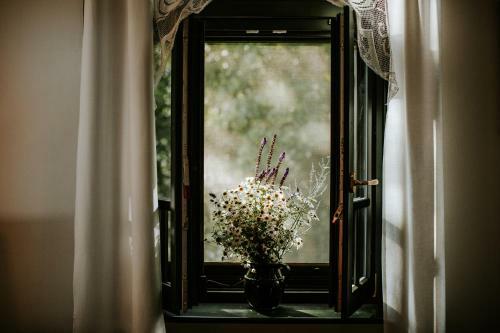 Bed & Breakfast Kosbor Panzi� St�lusos Vid�ki Sz�lloda
