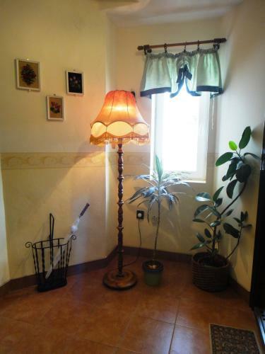 Marcsi Apartmanh�z