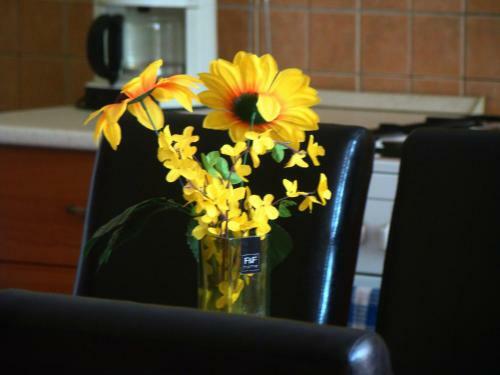 Hostal T�mea Vend�gh�z