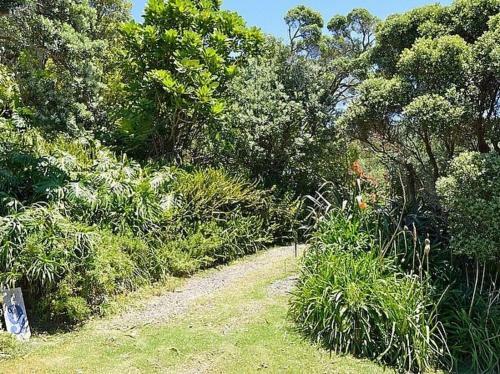 Campbell Lodge - Hahei Holiday Home