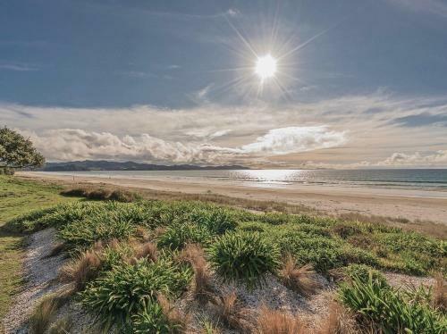 Absolute Beachfront Matarangi - Matarangi Holiday Home