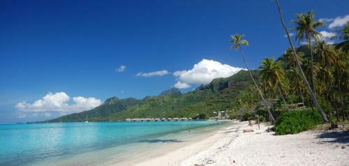 Apartamento Moorea - Paopao Cottage