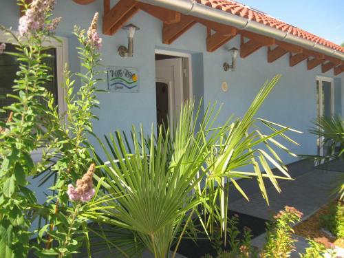Bed & Breakfast Villa Rigo Panzi�