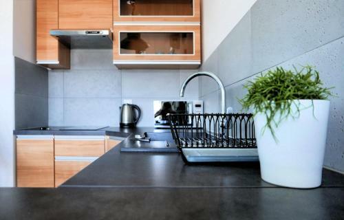 Apartamento Chilliapartamenty - Navigator - Mustang