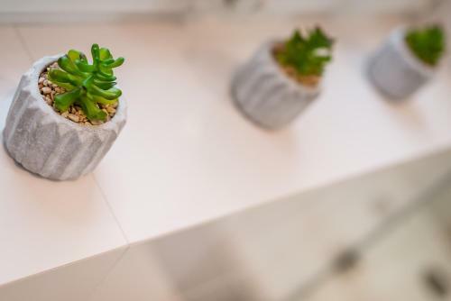 Apartamenty Bosacka Wawelofts