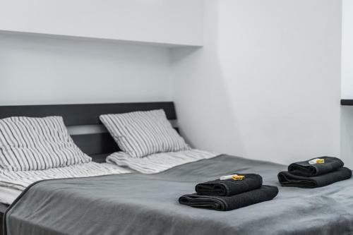 Apartamenty Bosacka Wawelofts