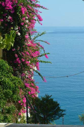 Angeliki's Apartments