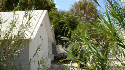 Albergue Surfing Beach Huts