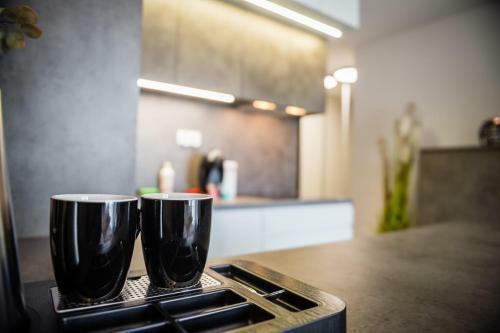 Black Pearl Apartment Old Town Rakowicka Deluxe Wawelofts