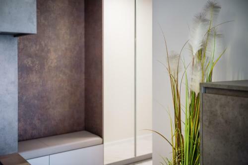 Black Pearl Apartment Old Town Rakowicka Deluxe Wawelofts