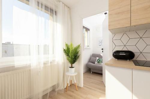 Apartments Puck Przebendowskiego By Renters