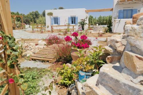 Apartamento Annio Studios