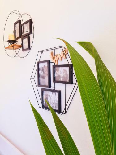 Apartamento Kalamouria Studios