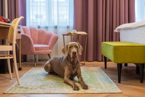 Sleepwell Boutique Apartments