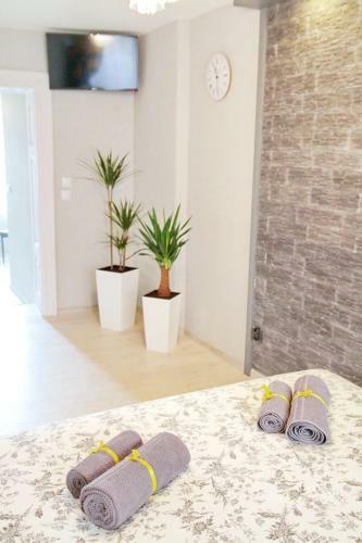 Grey Rooms