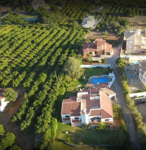 Villa Family Getaway In The Algarve