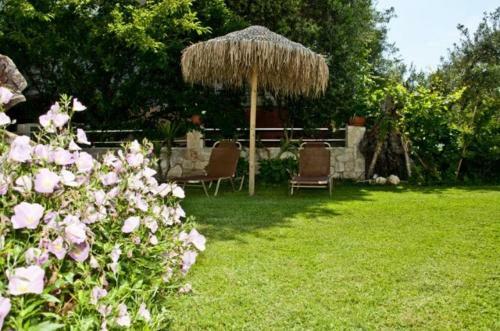 Aparthotel Allea Hotel And Apartments