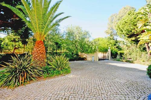 Ferrarias Villa Sleeps 12 Pool Air Con Wifi
