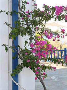 Apartamento Ragoussis House