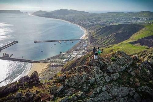 O Dragoeiro Da Madalena!
