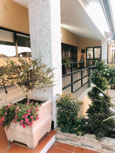 Bed & Breakfast Alojamento Restaurante Dom Dinis
