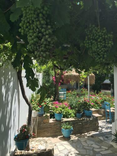 Apartamento Nikoleta Rooms