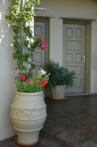 Hostal Filoxenia