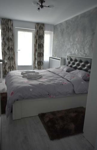 Hotel Cazare Moldi Btt