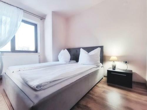 Bed & Breakfast Pensiunea Magda