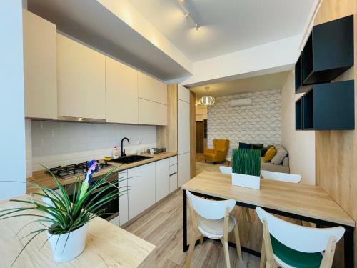 Luxury Apartments Palas Mall Centru