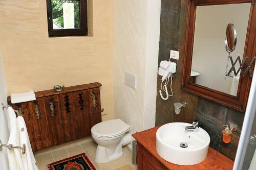Hostal Cabana Izvoranu