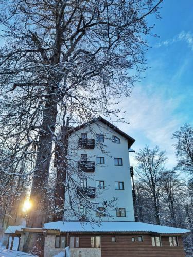 Hostal Dor De Munte Straja