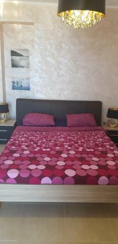Monaco Apartments Mamaia