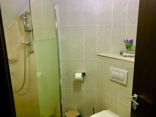 Hostal Vila Anelisse