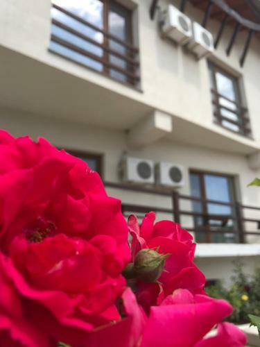 Hostal Pensiunea Beluga