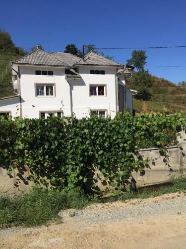 Casa Paradis