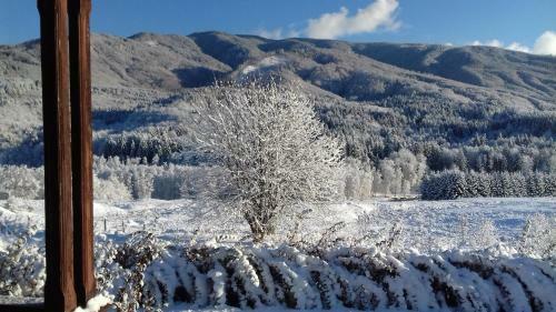 Hostal Valea Doamnei