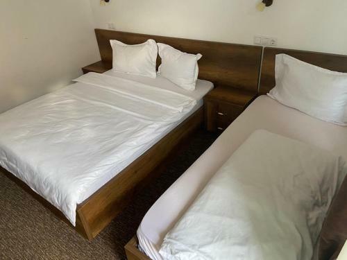 Hotel Pensiunea Catalina