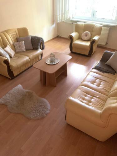 Lidiana Oradea Apartment