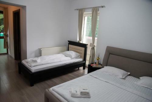 Hostal Pensiunea Aria Paltinis