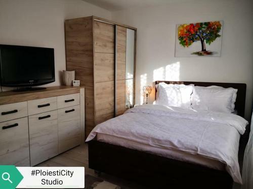 Apartamento Ploiesti City Studio