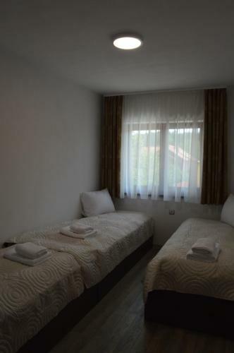 Hostal Cazare 77