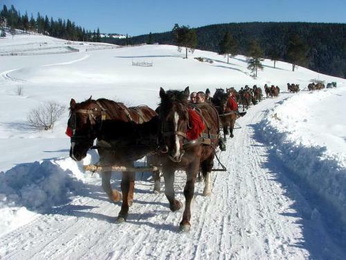 Posada Cserekert, Alszegi Porta