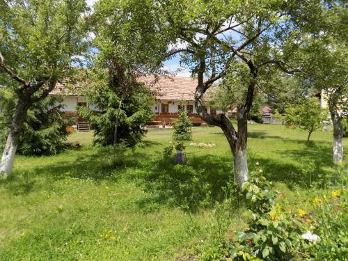 Posada Cserekert, Alszegi Porta